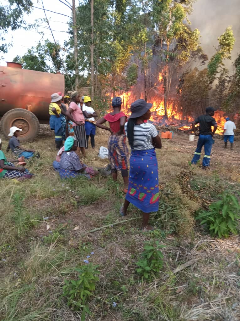 Fighting Wildfires: How Our Team Saved the Orchard